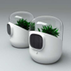 Image for article titled Bel-Air Filtration System Uses Plants to Purify Our Environs